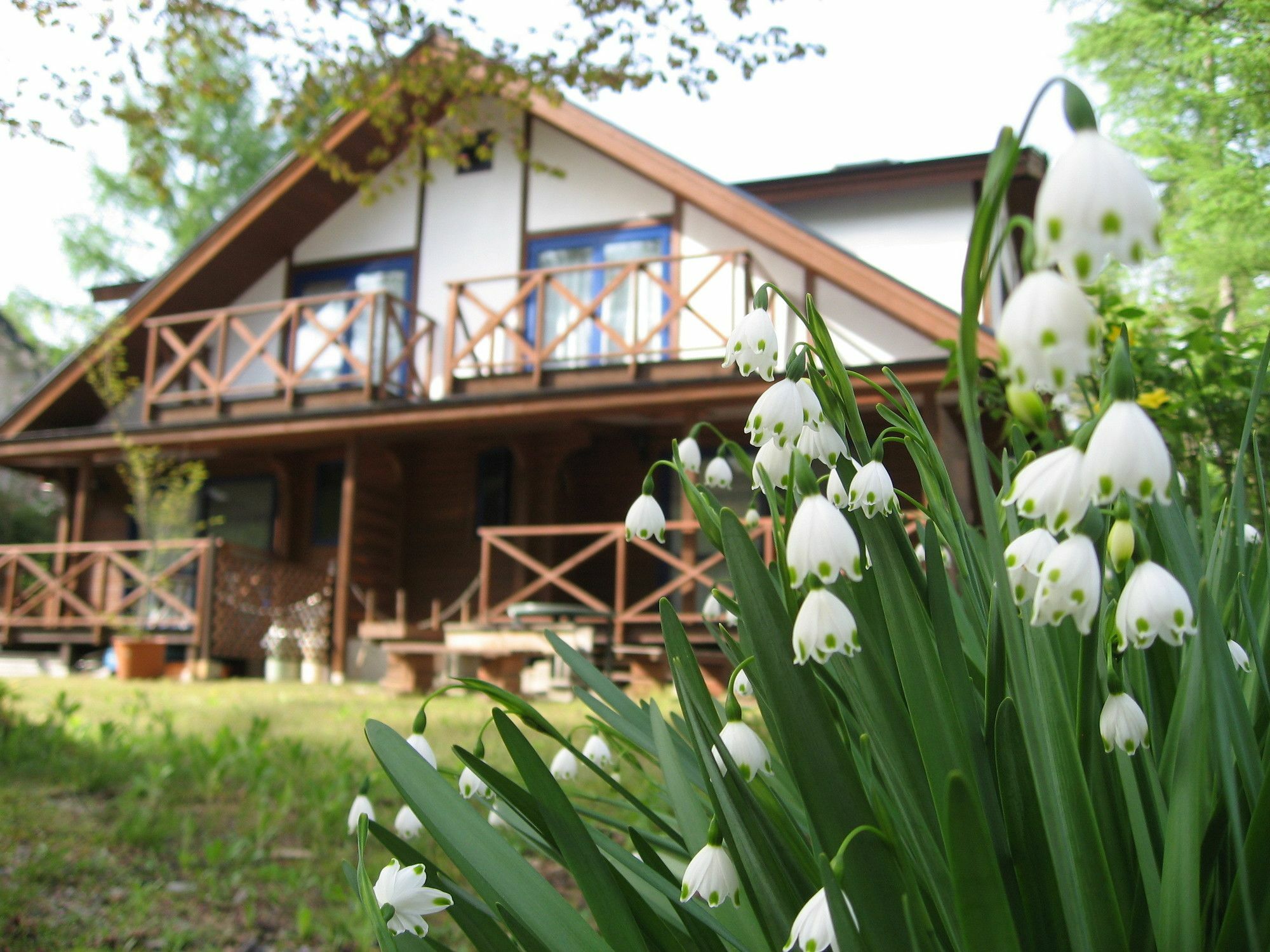 Hakuba Megeve Villa Dış mekan fotoğraf